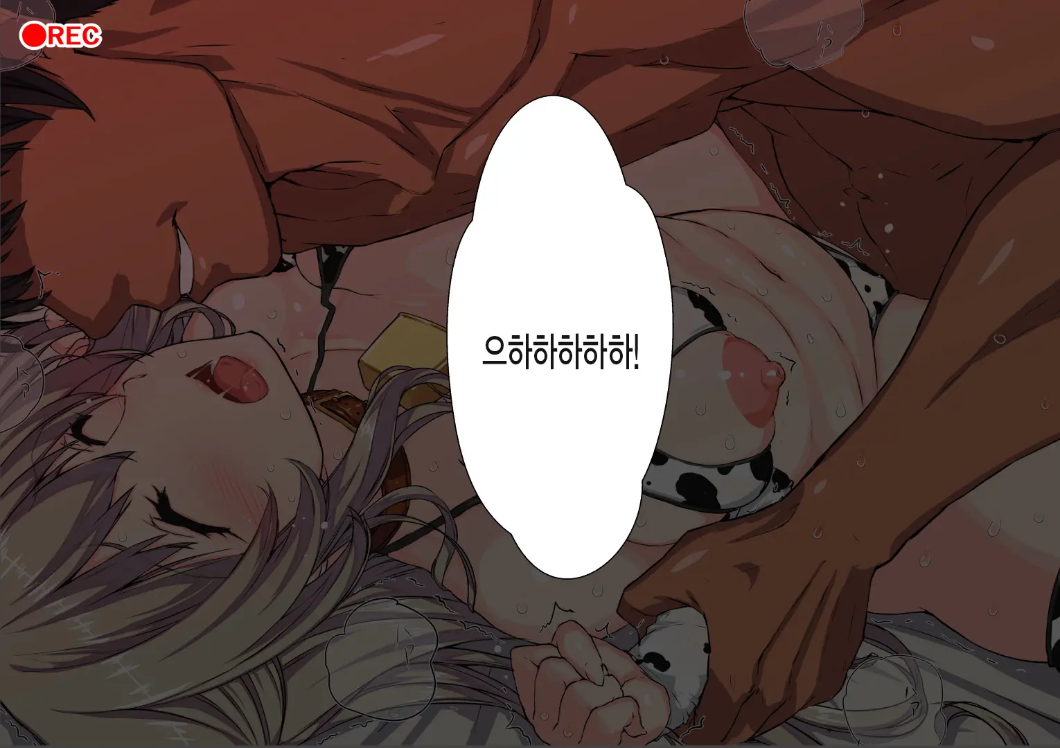 Akogare No Aniyome O Konotabi Netorimashite
